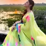 সমালোচনা, গ্রেপ্তার ও নিরাপত্তা নিয়ে মুখ খুললেন পরীমণি