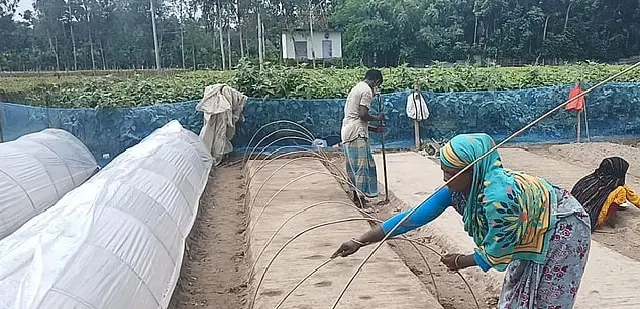 কৃষি উপকরণের বাড়তি দামে কপালে চিন্তার ভাঁজ কুড়িগ্রামের সবজি চাষিদের