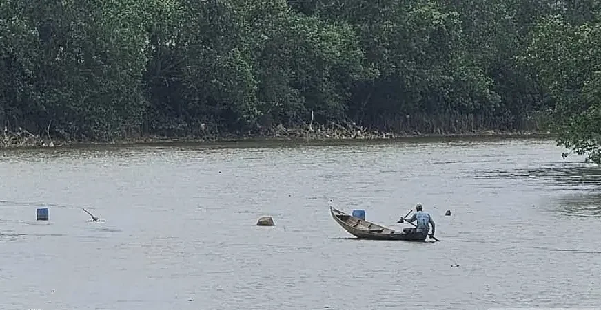 কৃষকের জমিতে সারের সংকট, সীমান্ত পেরিয়ে যাচ্ছে বস্তার পর বস্তা