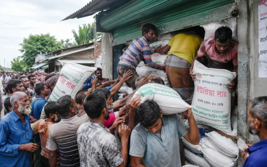 গুদামে পর্যাপ্ত সার, মাঠে সংকট; বোরো মৌসুম নিয়ে শঙ্কা বরাদ্দে অসামঞ্জস্য, দুর্বল বিতরণ ব্যবস্থা ও কালোবাজারির অভিযোগ