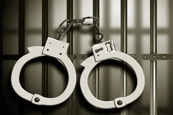 রাজধানীতে পুলিশের অভিযানে ৪৮৬ জন গ্রেপ্তার, উদ্ধার অস্ত্র ও মাদক