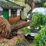 ঘূর্ণিঝড় অর্ণবে অন্ধ্র প্রদেশে প্রাণহানি ৫, উপকূলজুড়ে ব্যাপক ক্ষয়ক্ষতি