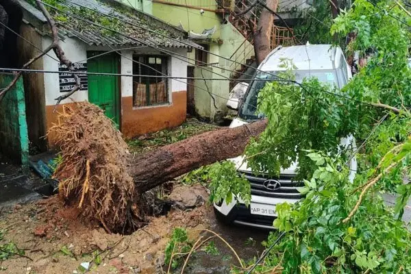 ঘূর্ণিঝড় অর্ণবে অন্ধ্র প্রদেশে প্রাণহানি ৫, উপকূলজুড়ে ব্যাপক ক্ষয়ক্ষতি