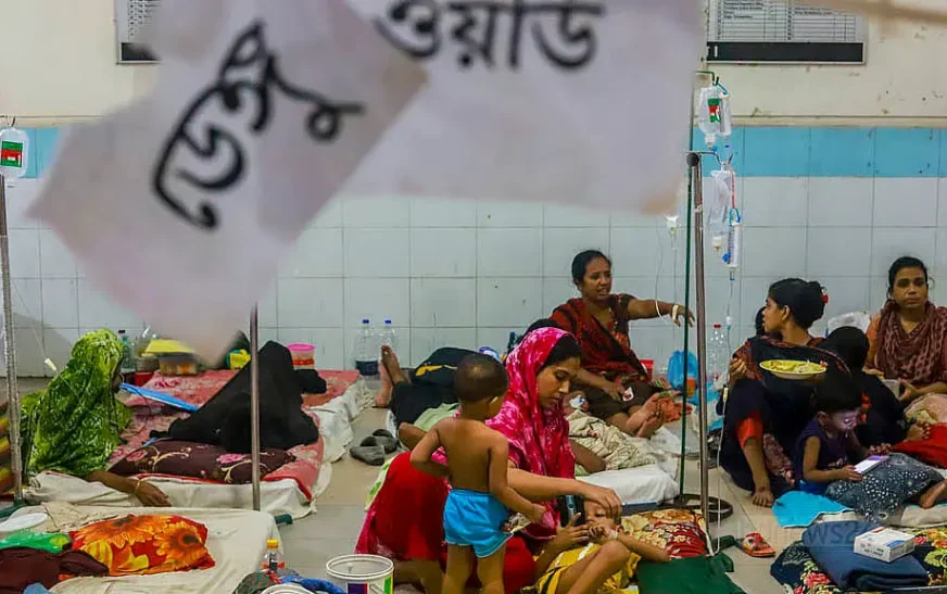 ডেঙ্গুতে এক দিনে ১১ জনের মৃত্যু, হাসপাতালে নতুন ভর্তি ২ হাজার ছাড়াল