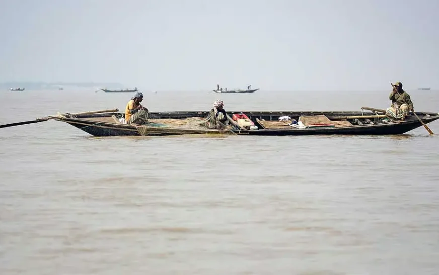 নিষেধাজ্ঞা উপেক্ষা করে পদ্মা-যমুনায় মা ইলিশ শিকার, চলছে বেচাকেনাও