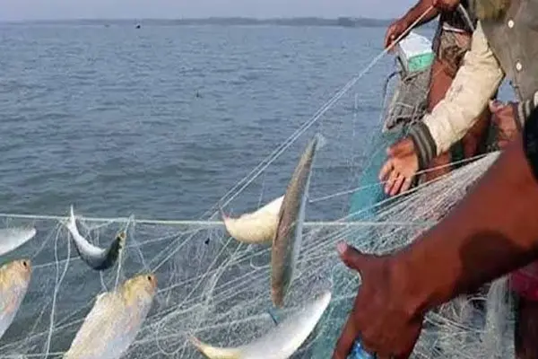 মেঘনায় মাছ শিকারে নিষেধাজ্ঞা, খাদ্য সহায়তা পাবেন ৪২ হাজার জেলে