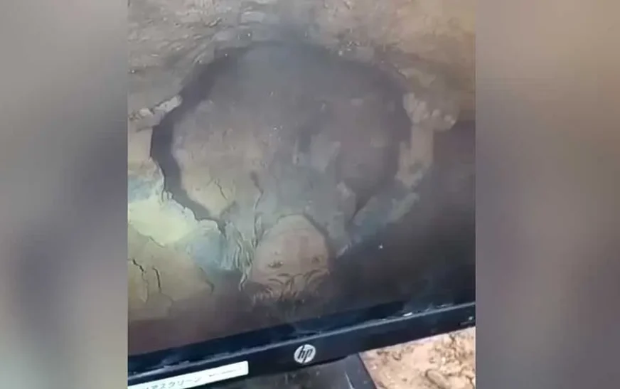 আফগানিস্তানের কান্দাহার প্রদেশে ৭০ মিটার গভীর একটি পরিত্যক্ত কূপে আটকে পড়া পাঁচ বছরের শিশু জইনুল্লাহকে উদ্ধার করেছে ১১ বছরের কিশোর হজরত ওমর।