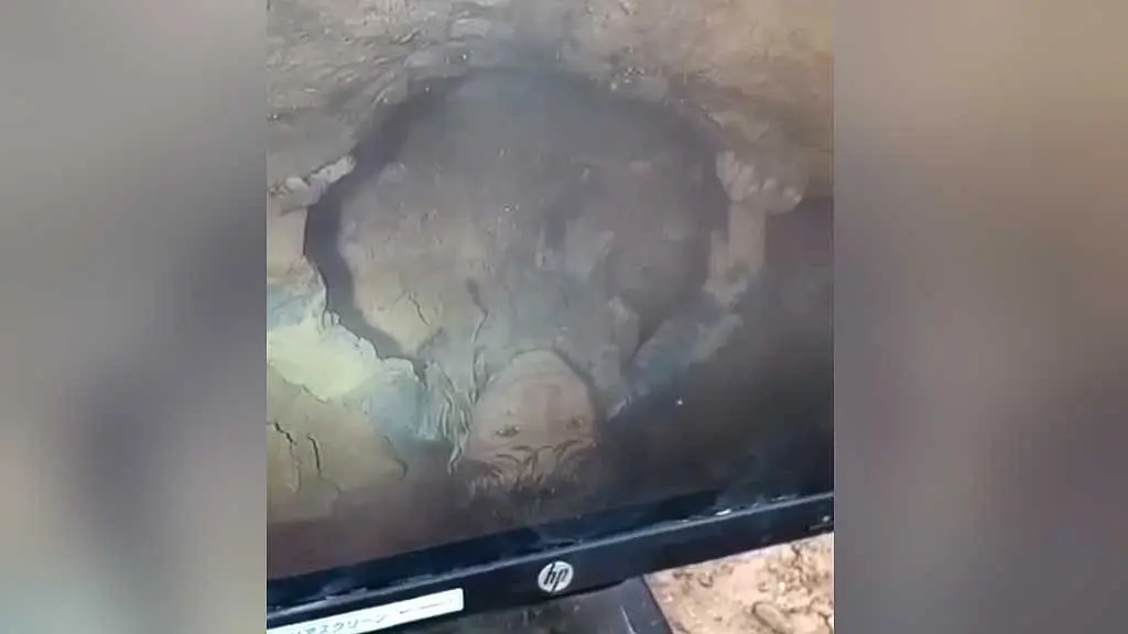 আফগানিস্তানের কান্দাহার প্রদেশে ৭০ মিটার গভীর একটি পরিত্যক্ত কূপে আটকে পড়া পাঁচ বছরের শিশু জইনুল্লাহকে উদ্ধার করেছে ১১ বছরের কিশোর হজরত ওমর।